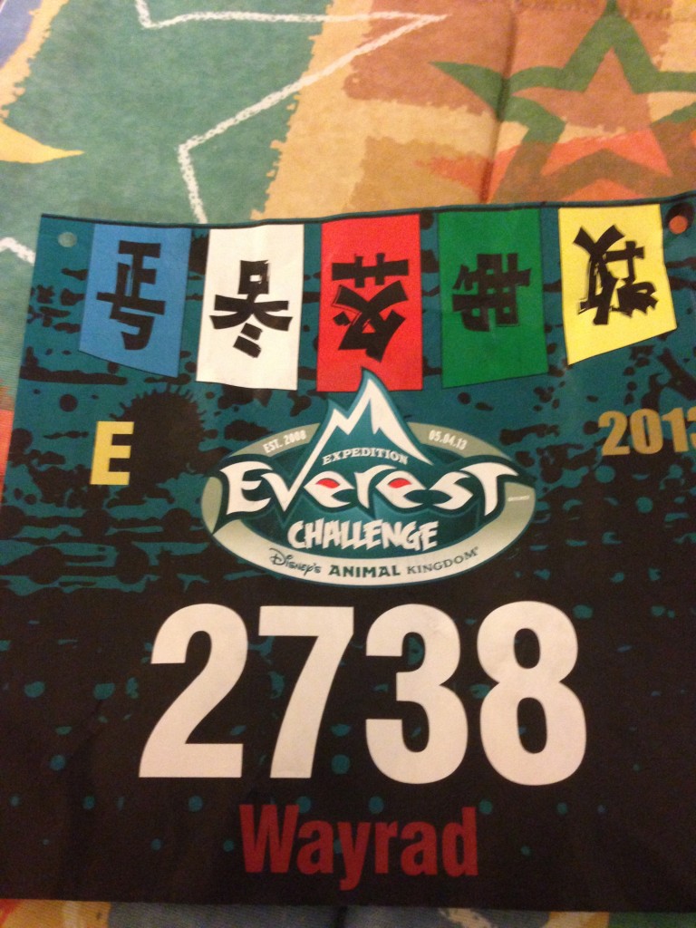 Everest Challenge